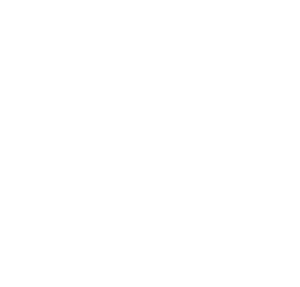 Palidos licht & advies